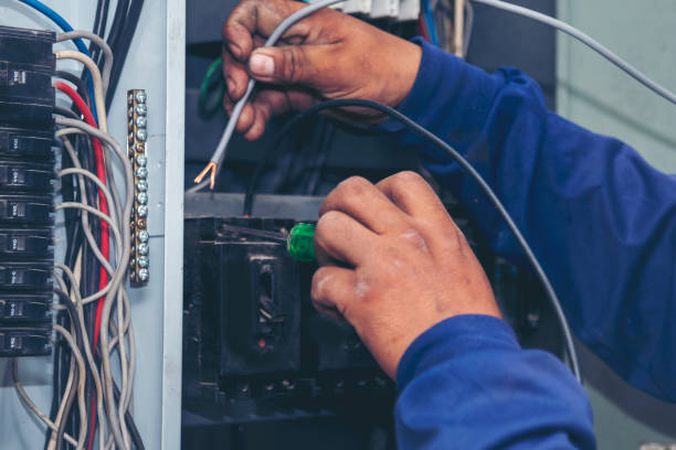 Best Local Electrician Companies  in Bolivar, TN